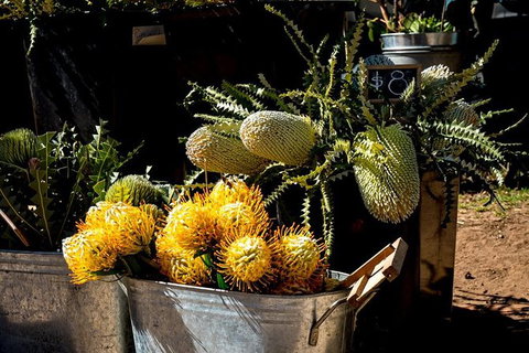 Mornington Peninsula Markets Shuttle By Boat From Phillip Island - Attractions Perth 7