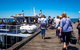 Mornington Peninsula Markets Shuttle By Boat From Phillip Island - thumb 8