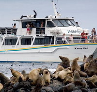 Phillip Island Seal-Watching Cruise - Attractions Perth