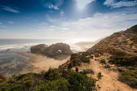 Around The Bay Sightseeing And Bay Cruise - Attractions Perth 7