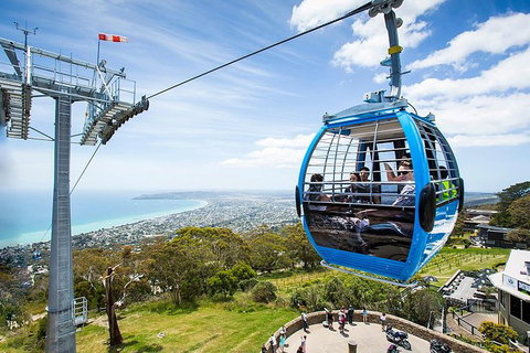 Around The Bay Sightseeing And Bay Cruise - Attractions Perth 8