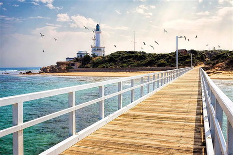 Around The Bay Sightseeing And Bay Cruise - Attractions Perth 9