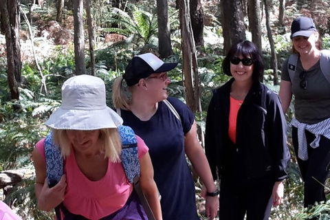 GPS Guided Walks In The Daylesford Forest - Attractions Perth 1