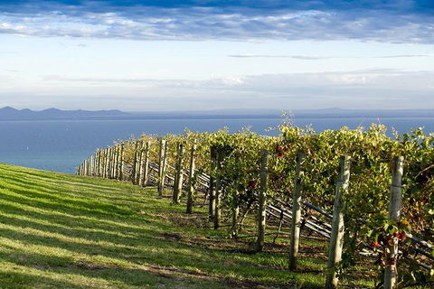 Around The Bay Food And Wine Taste Trail - Attractions Perth 5