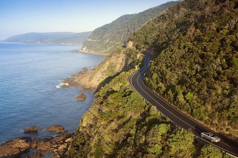 Ultimate Reverse Direction - 12 Apostles, Great Ocean Road - Small Group Tour - Attractions Perth 10