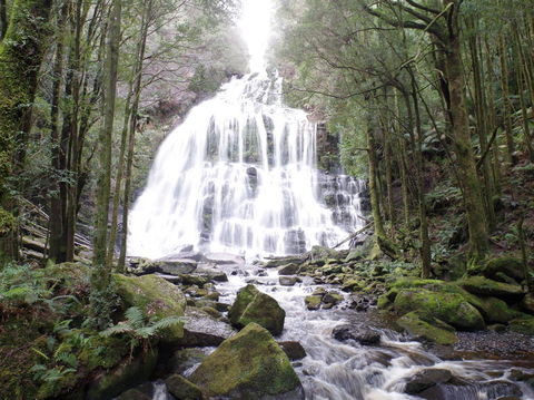 5-Day Best Of Tasmania Tour From Hobart - Attractions Perth 2