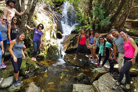 5-Day Best Of Tasmania Tour From Hobart - Attractions Perth 9