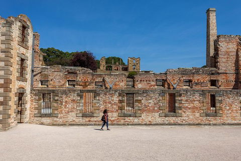 Port Arthur And Tassie Devils Active Day Tour From Hobart - Attractions Perth 7