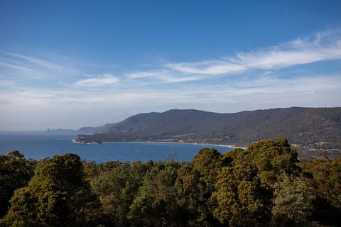 Port Arthur And Tassie Devils Active Day Tour From Hobart - Attractions Perth 4
