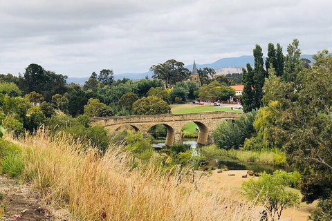 Day Tour In Mt. Field, Mt. Wellington, Bonorong Wildlife Sanctuary And Richmond - Attractions Perth 6