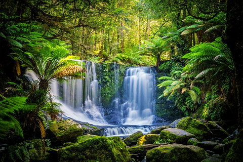 Day Tour In Mt. Field, Mt. Wellington, Bonorong Wildlife Sanctuary And Richmond - Attractions Perth 7