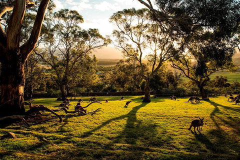 Shore Excursion: Five Of Hobart's Best In One Day - Attractions Perth 1