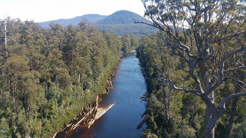Small-group DayTour From Hobart: Hastings Caves, Huon Valley And Tahune AirWalk - Attractions Perth 3