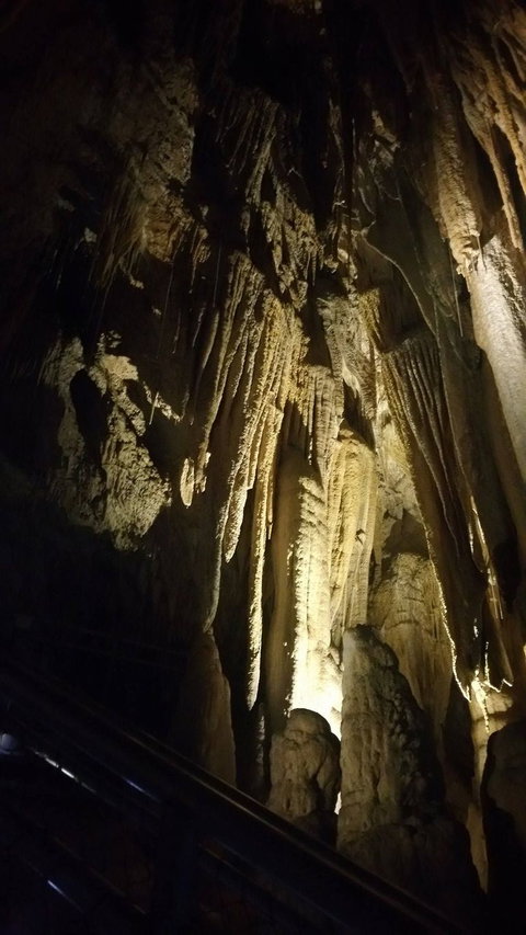 Small-group DayTour From Hobart: Hastings Caves, Huon Valley And Tahune AirWalk - Attractions Perth 5