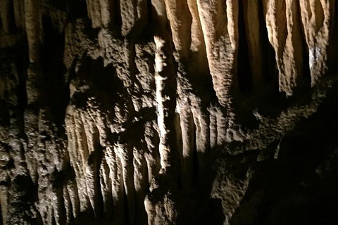 Small-group DayTour From Hobart: Hastings Caves, Huon Valley And Tahune AirWalk - Attractions Perth 1