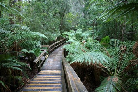 Small-group DayTour From Hobart: Hastings Caves, Huon Valley And Tahune AirWalk - Attractions Perth 0