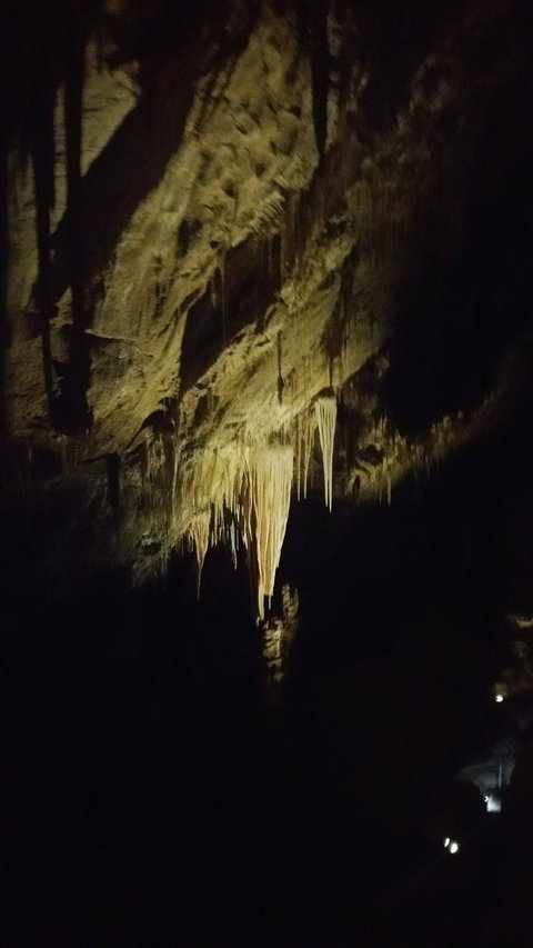 Small-group DayTour From Hobart: Hastings Caves, Huon Valley And Tahune AirWalk - Attractions Perth 7