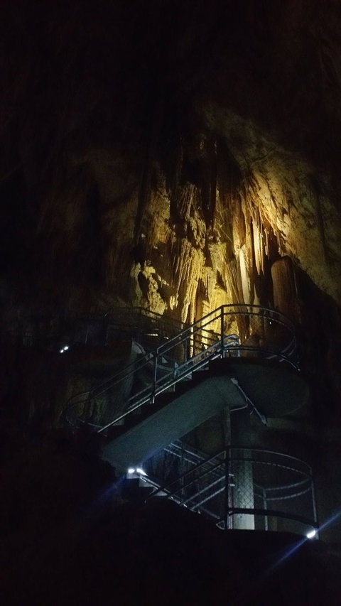 Small-group DayTour From Hobart: Hastings Caves, Huon Valley And Tahune AirWalk - Attractions Perth 4