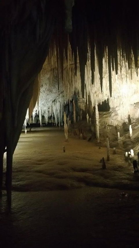 Small-group DayTour From Hobart: Hastings Caves, Huon Valley And Tahune AirWalk - Attractions Perth 8