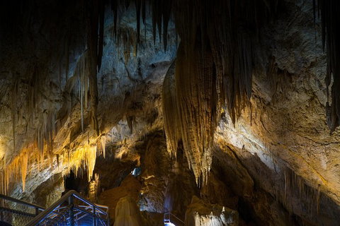 Small-group DayTour From Hobart: Hastings Caves, Huon Valley And Tahune AirWalk - Attractions Perth 19