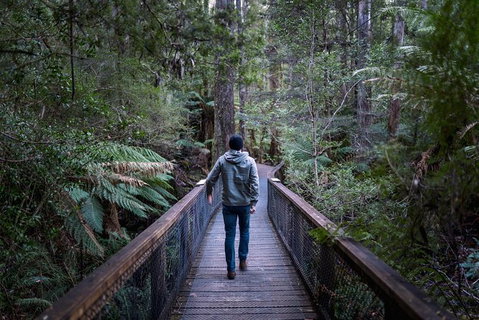 Small-group DayTour From Hobart: Hastings Caves, Huon Valley And Tahune AirWalk - Attractions Perth 11