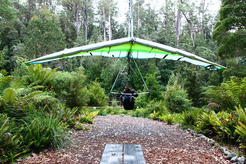 Small-group DayTour From Hobart: Hastings Caves, Huon Valley And Tahune AirWalk - Attractions Perth 10