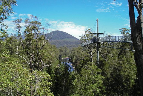 Small-group DayTour From Hobart: Hastings Caves, Huon Valley And Tahune AirWalk - Attractions Perth 9