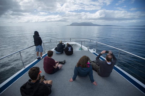 Maria Island Active Day Trip From Hobart - Attractions Perth 13