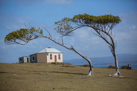 Maria Island Active Day Trip From Hobart - Attractions Perth 3