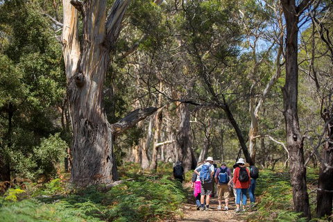 Maria Island Active Day Trip From Hobart - Attractions Perth 12
