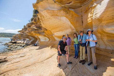 Maria Island Active Day Trip From Hobart - Attractions Perth 7