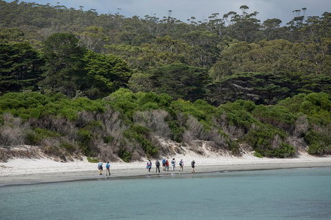 Maria Island Active Day Trip From Hobart - Attractions Perth 11