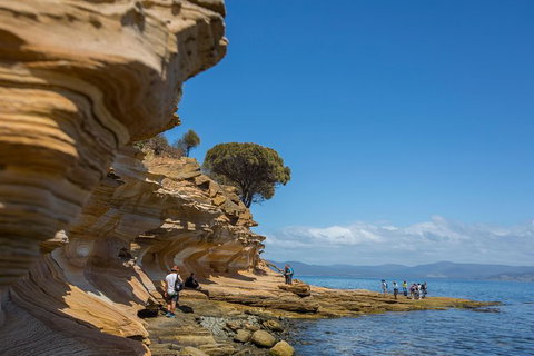 Maria Island Active Day Trip From Hobart - Attractions Perth 5