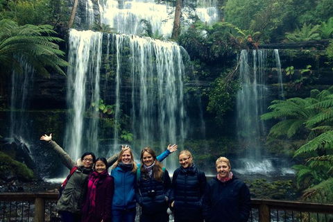 Mt Field National Park Active Day-Trip Including Bonorong And Mt Wellington - Attractions Perth 1
