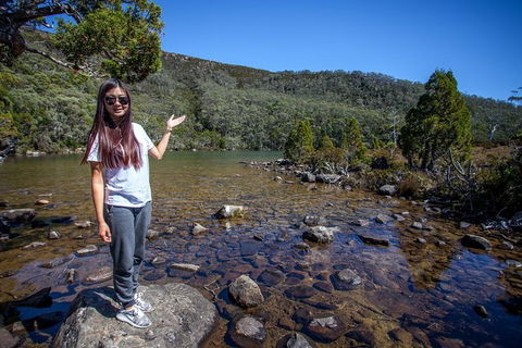 Mt Field National Park Active Day-Trip Including Bonorong And Mt Wellington - Attractions Perth 12
