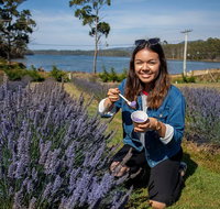 Port Arthur and Lavender Farm Active Day Tour - Attractions Perth