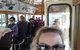 Hobart Half-Day Sightseeing Coach Tram Tour - thumb 2