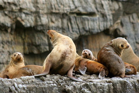 Full-Day Tasman Peninsula Tour From Hobart - Attractions Perth 22