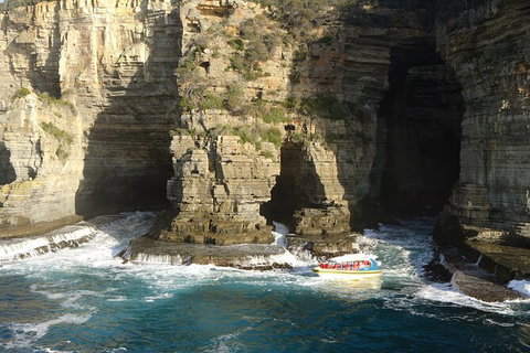 Full-Day Tasman Peninsula Tour From Hobart - Attractions Perth 18