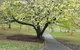 Hobart City Sightseeing Tour Including MONA Admission - thumb 3