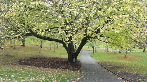 Hobart City Sightseeing Tour Including MONA Admission - Attractions Perth 3