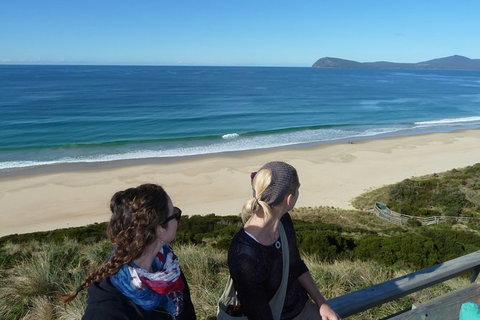 Small-Group Day Trip From Hobart To Bruny Island - Attractions Perth 9