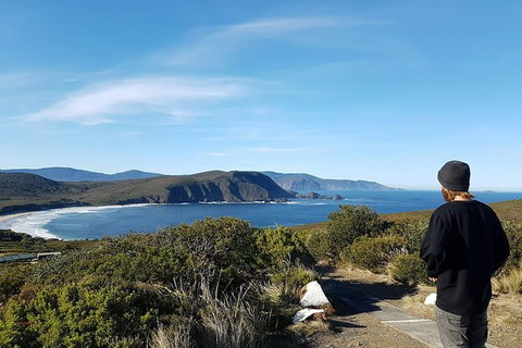 Small-Group Day Trip From Hobart To Bruny Island - Attractions Perth 6