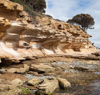 Maria Island premium private photo-oriented day tour from Hobart - Attractions Perth