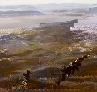 Mt Wellington Half Day Guided Summit Hike - Attractions Perth