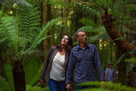 West Coast Wilderness Railway: River And Rainforest From Strahan - Attractions Perth 3