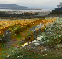 Mona and Wine Experience Tour - Attractions Perth
