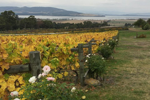 Mona And Wine Experience Tour - Attractions Perth 0