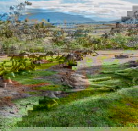 Shore Excursion Hobart's Best In Half A Day - Attractions Perth