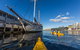 Hobart Kayak Tour - thumb 8